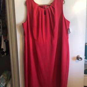 Pink Kasper Dress